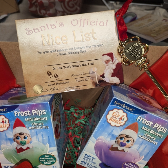 New frost pips elf on the shelf blue eyes boy & girl baby + nice list + key - Picture 2 of 6